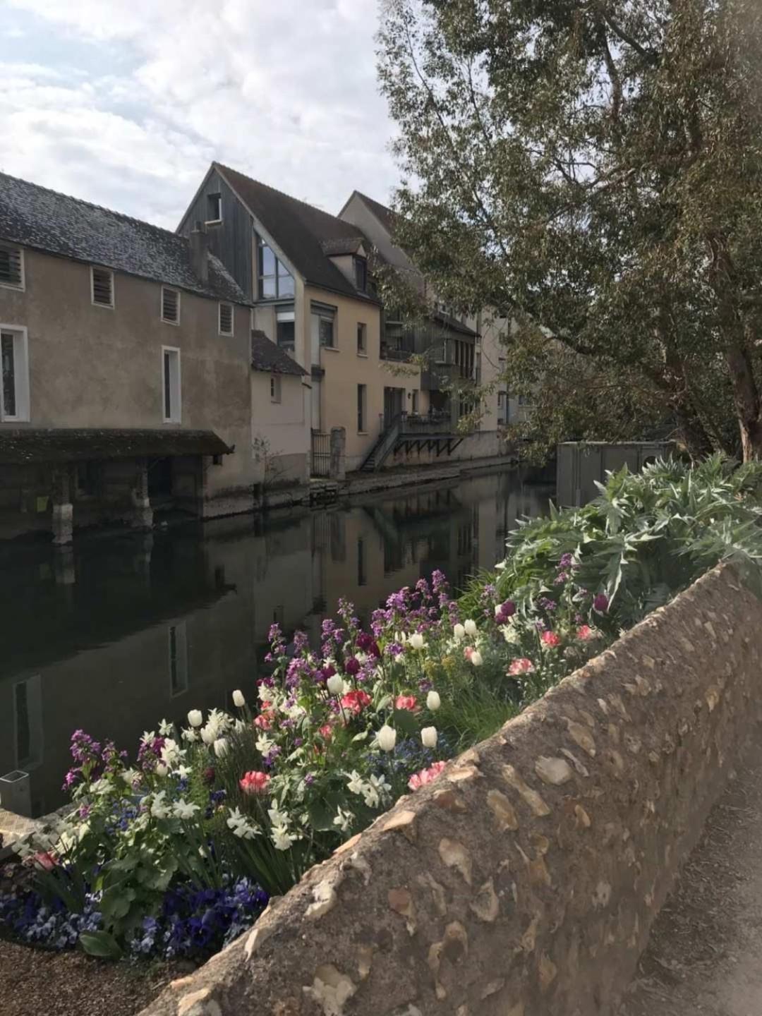 T3 De 55M2 Au Centre De Chartres Avec Parking Apartment ภายนอก รูปภาพ